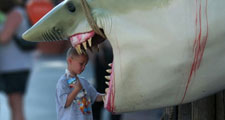 sharkboysmall